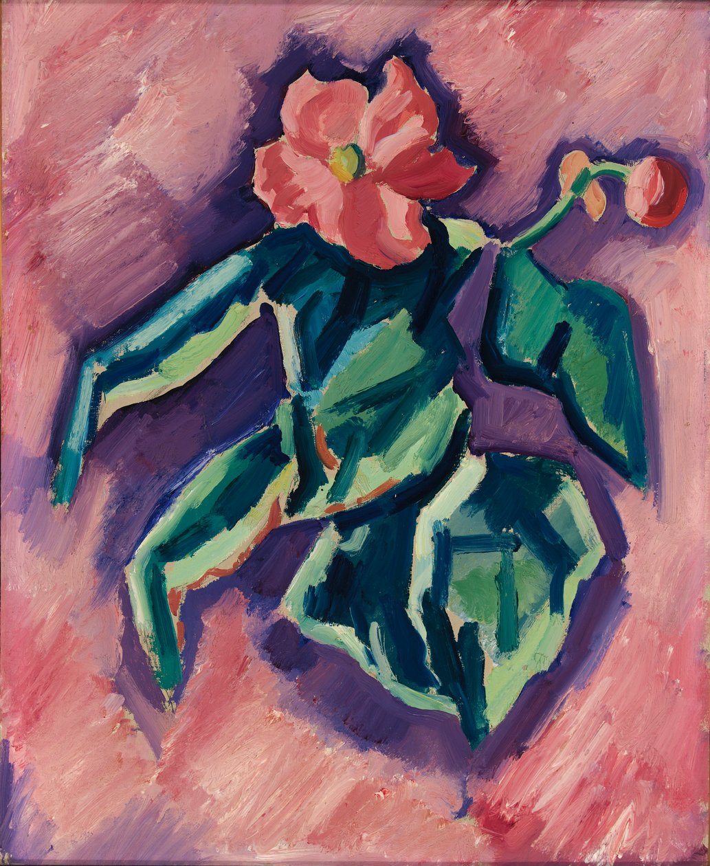 Pembe Vegonyalar, 1928-1929. by Marsden Hartley