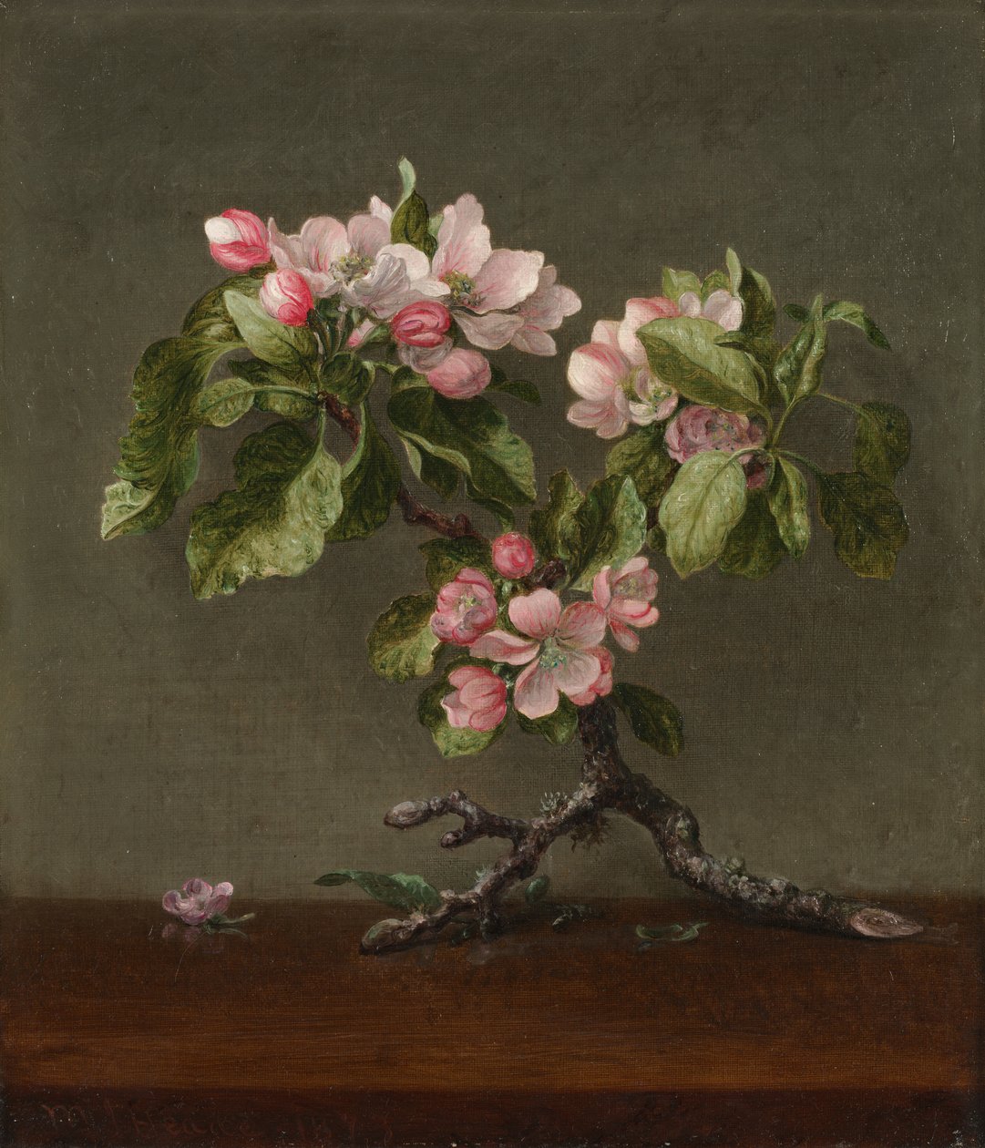 Elma Çiçekleri, 1873. by Martin Johnson Heade