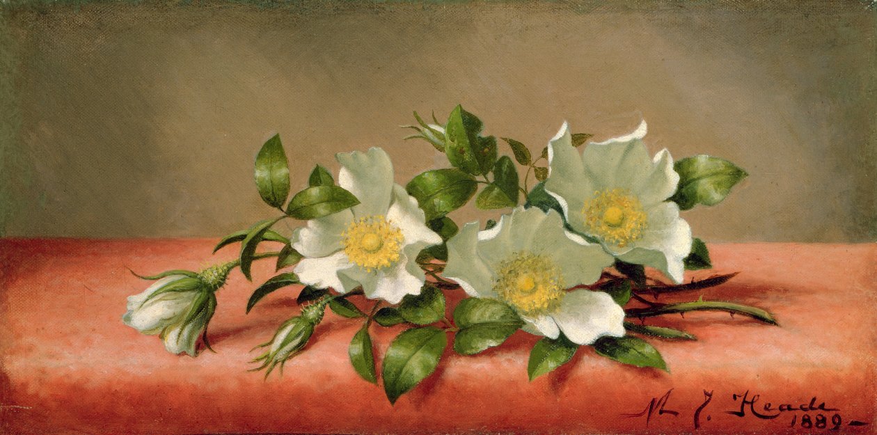 Cherokee Gülleri, 1889 by Martin Johnson Heade