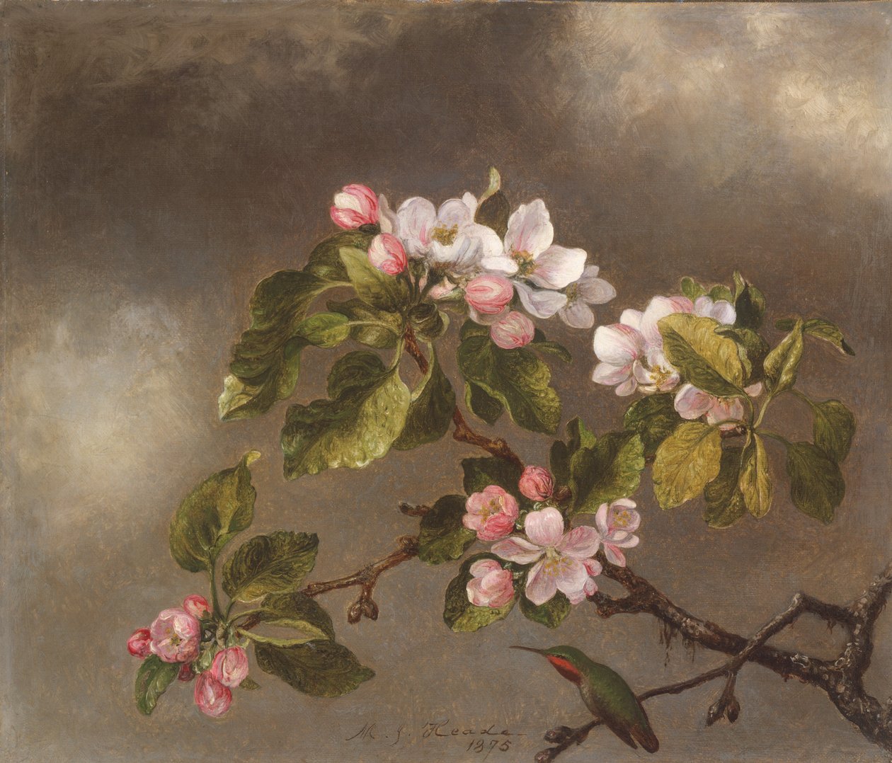 Sinekkuşu ve Elma Çiçekleri, 1875. by Martin Johnson Heade