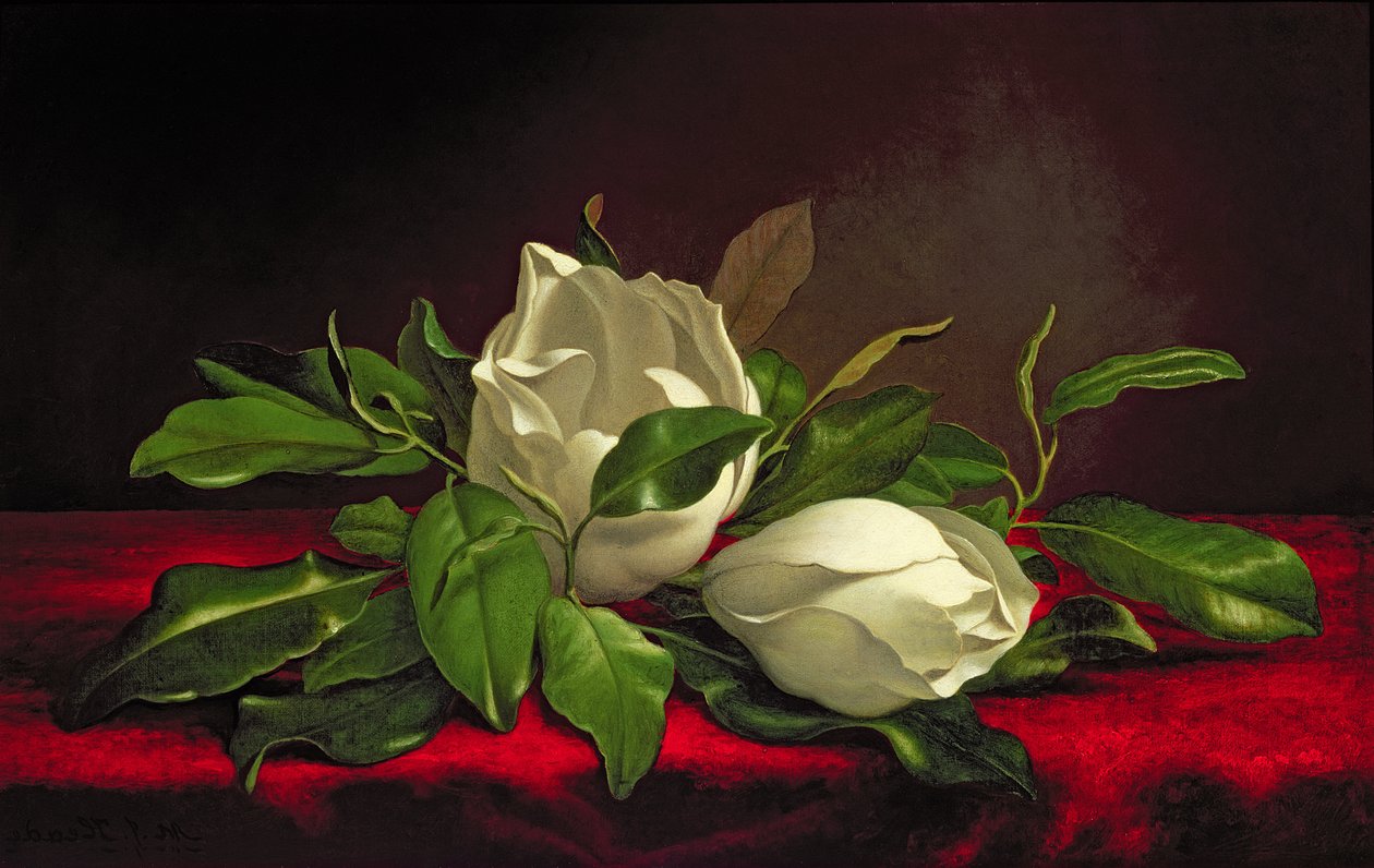Manolya by Martin Johnson Heade