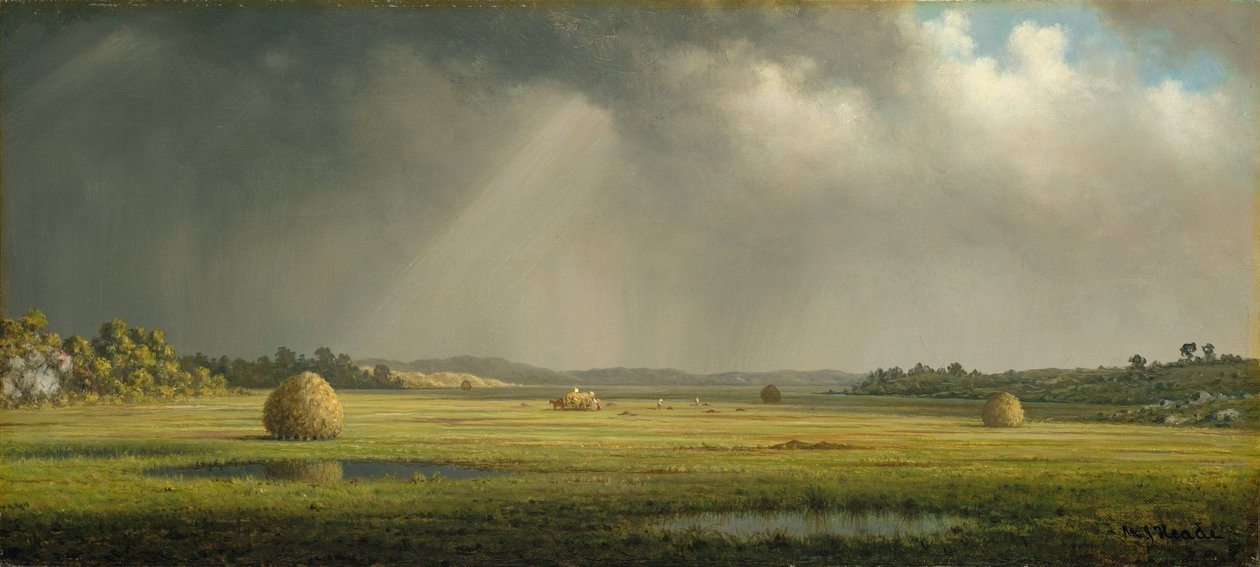  by Martin Johnson Heade