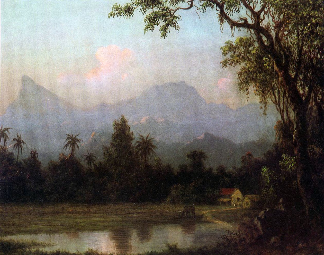 ರಿಯೊ ಡಿ ಜನೈರೊ, ಬ್ರೆಜಿಲ್, ಸಿ.1865 ಟರ್ಕ್ by Martin Johnson Heade