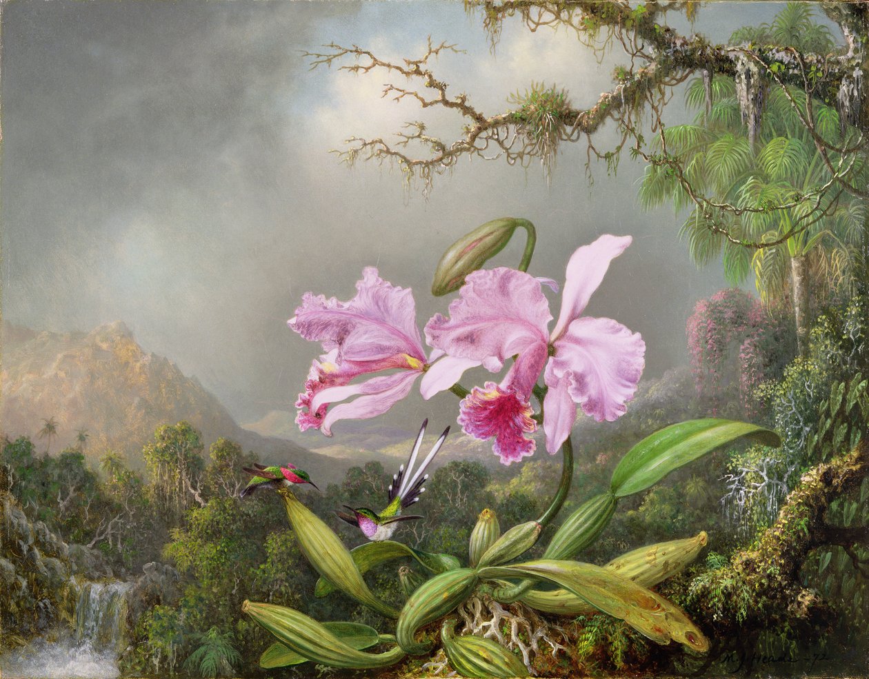 Orkide İncelemesi, 1872 by Martin Johnson Heade