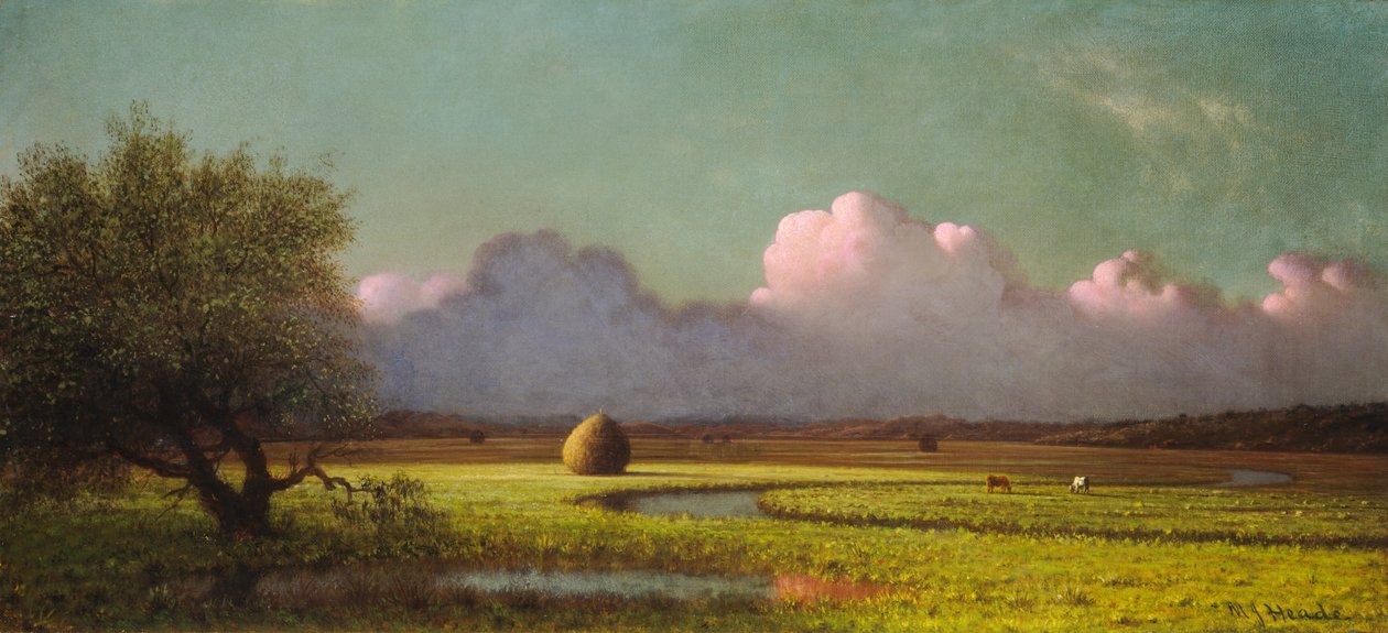 Güneş Işığı ve Gölge: Newbury Bataklıkları by Martin Johnson Heade