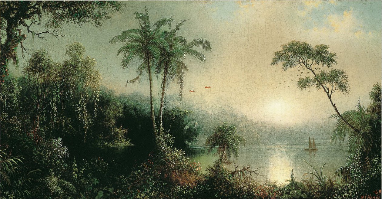  by Martin Johnson Heade