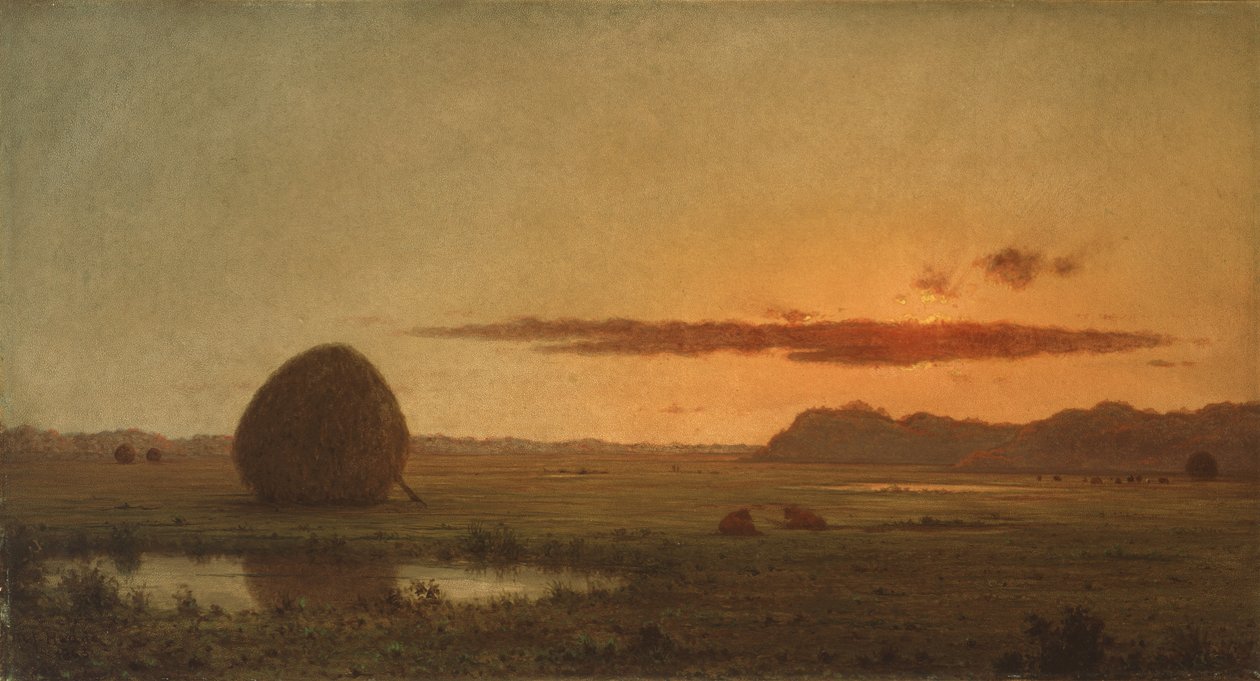  by Martin Johnson Heade