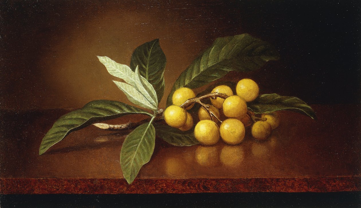Tropik Erikler, by Martin Johnson Heade
