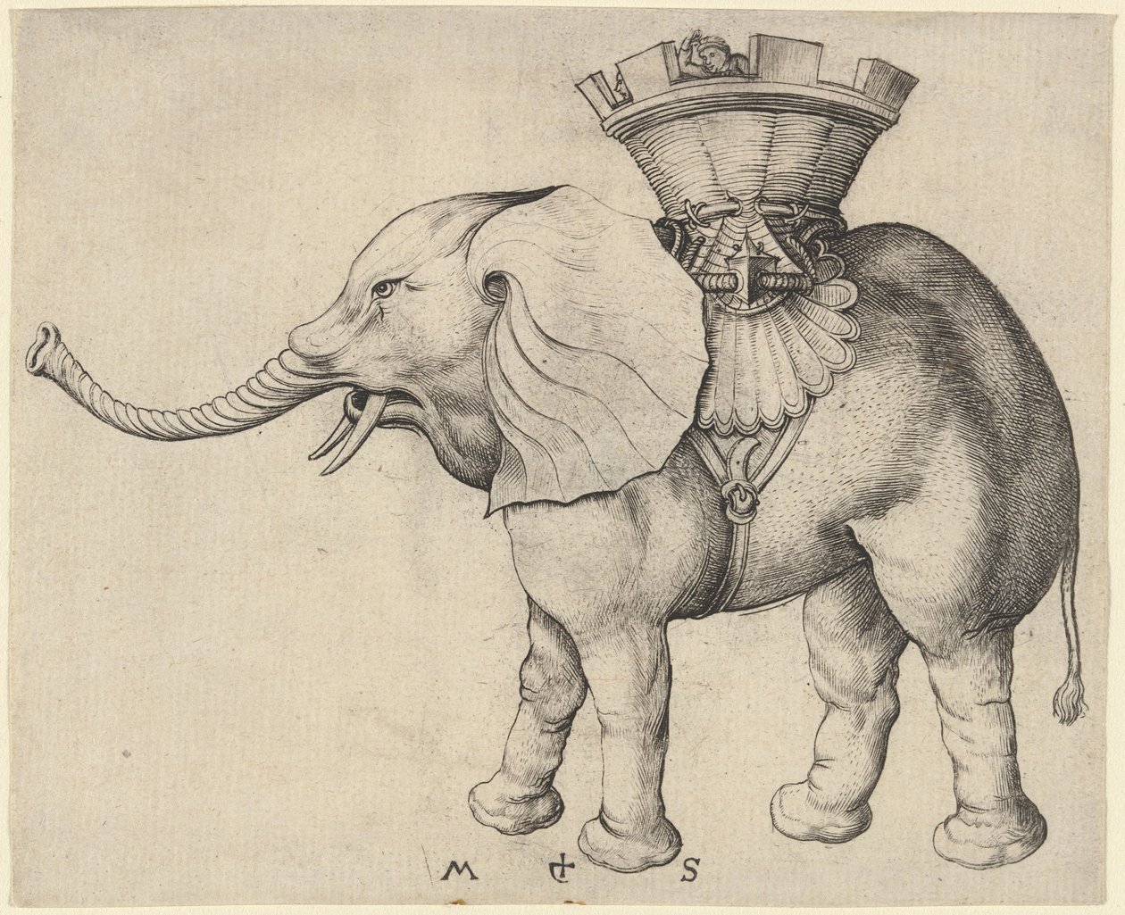 Fil by Martin Schongauer
