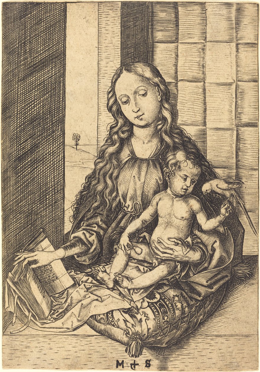 Papağanlı Madonna by Martin Schongauer