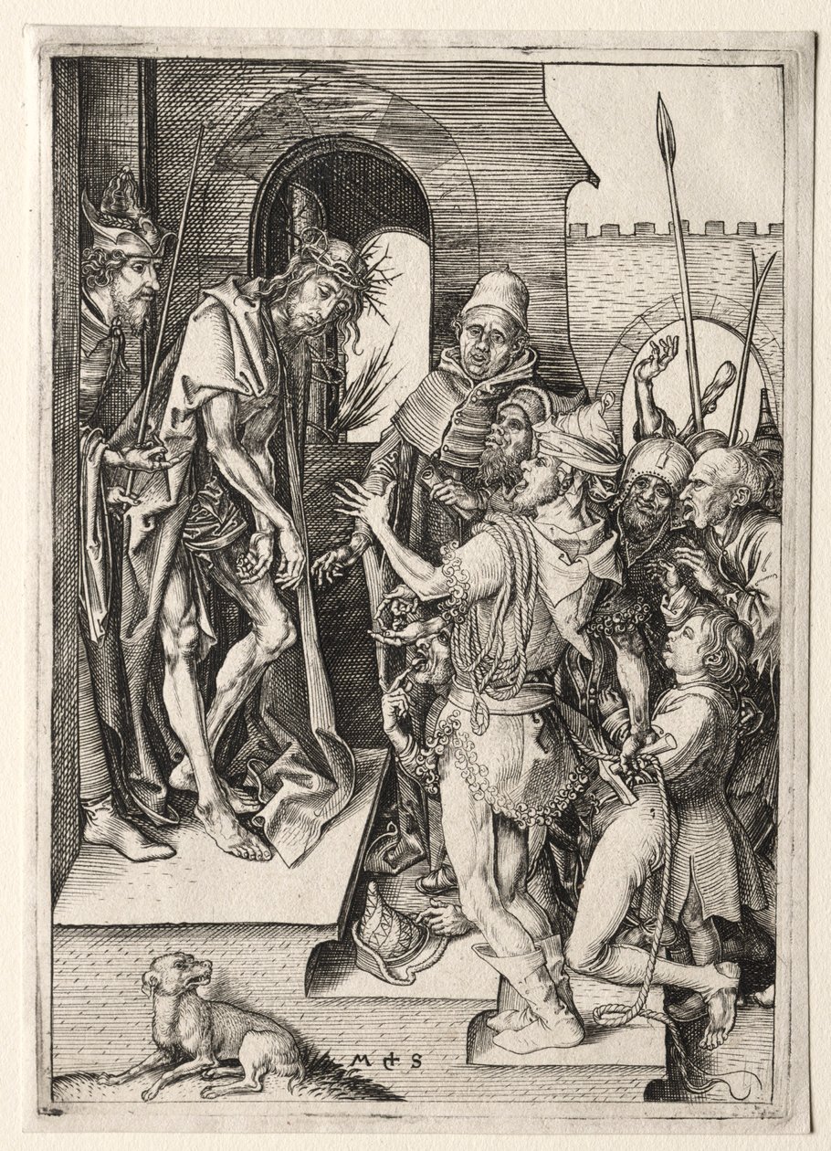  by Martin Schongauer