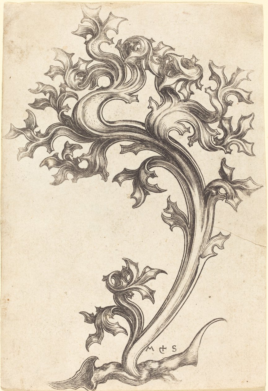 Devedikeni Süsleme by Martin Schongauer