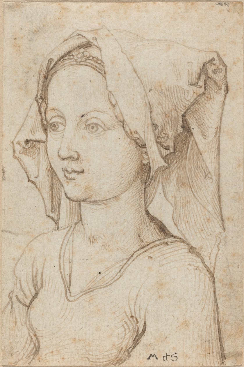 eşarp takan genç kadın by Martin Schongauer