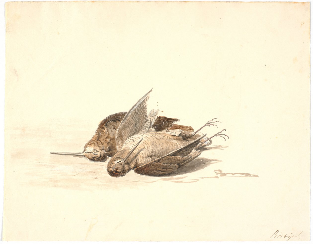 İki ölü su çulluğu by Martinus Rørbye
