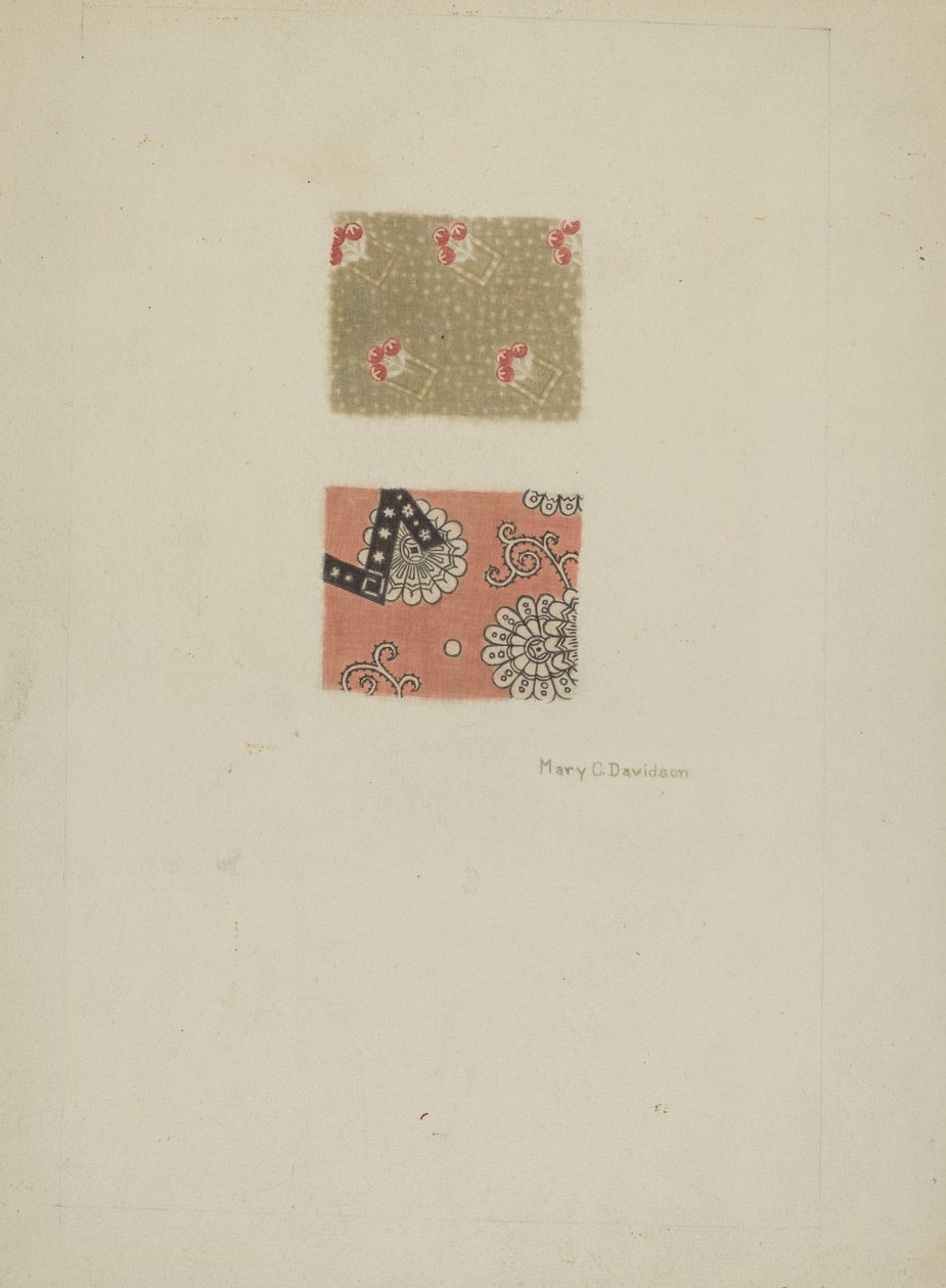 Baskılı Pamuk by Mary C. Davidson
