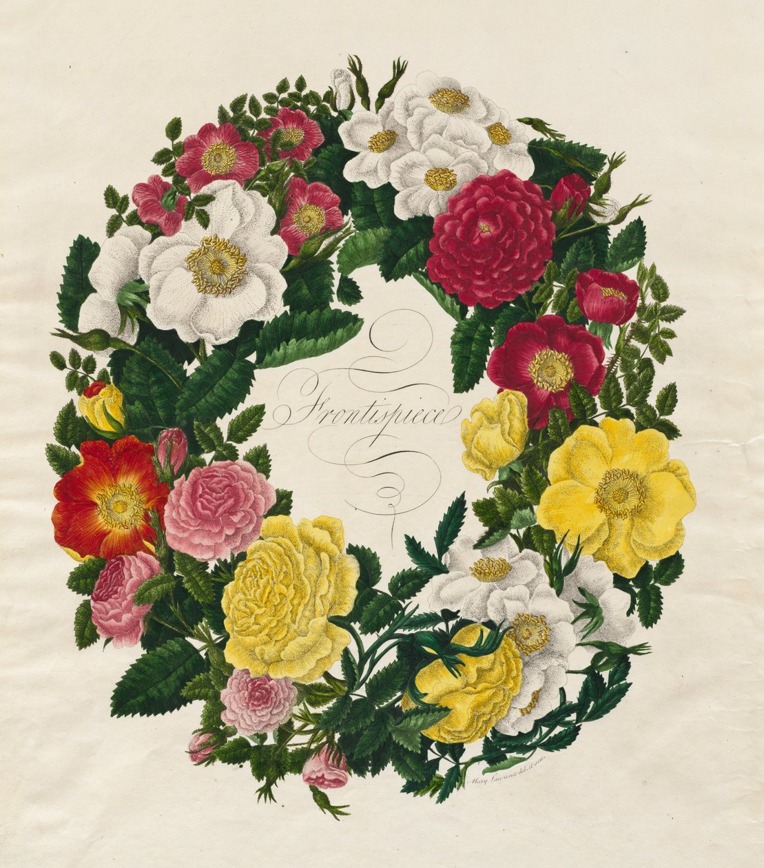 Gül Çelengi, 1799. by Mary Lawrence