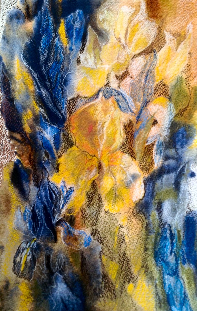 altın ve mavi iris by Mary Smith
