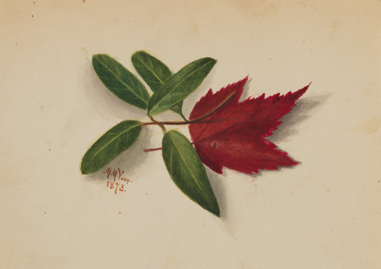 İsimsiz, 1873. by Mary Vaux Walcott