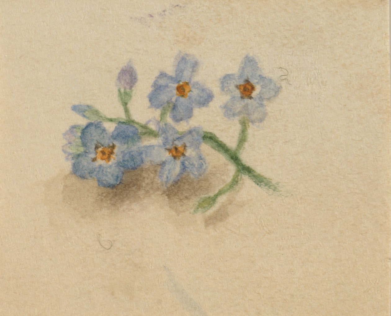 İsimsiz, 1874. by Mary Vaux Walcott