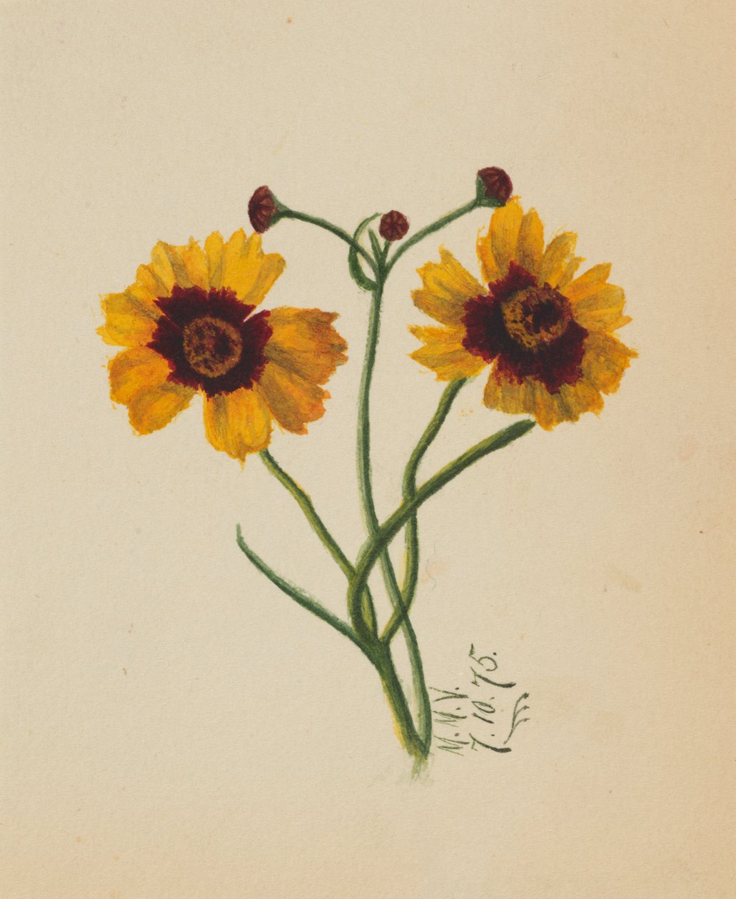 İsimsiz, 1875. by Mary Vaux Walcott