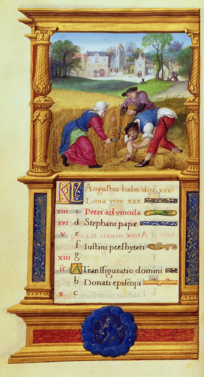 MS W.449 fol.9v Ağustos Buğday Hasat, c.1525 by Master Jean de Mauleon