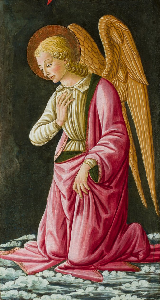 Diz çökmüş melek, c.1480 (yağ) by Master of Johnson Nativity or Tabernacle