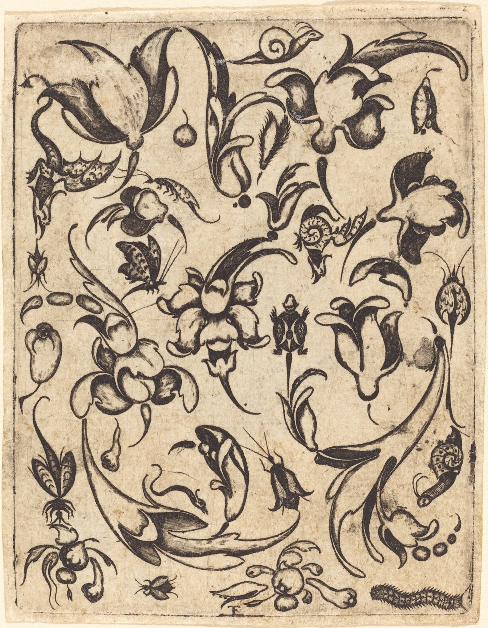 Süs by Master T.F.
