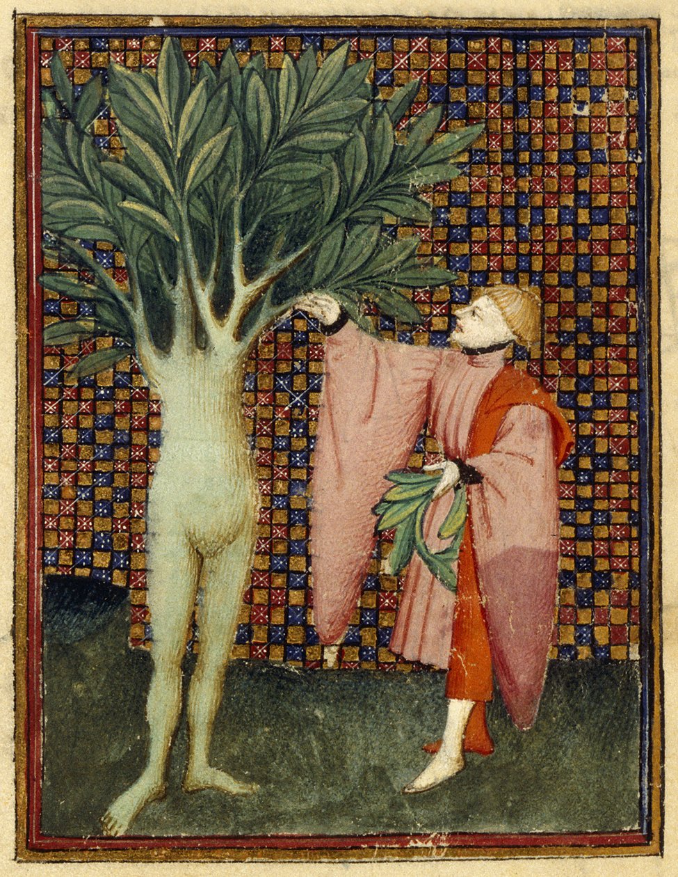 Apollon ve Defne by Master of the Cité des Dames