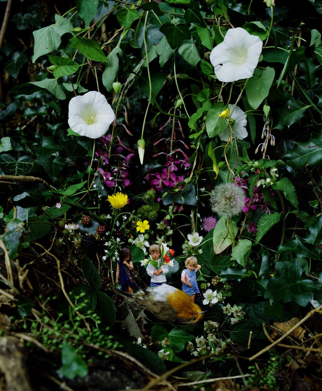  by Mat Collishaw