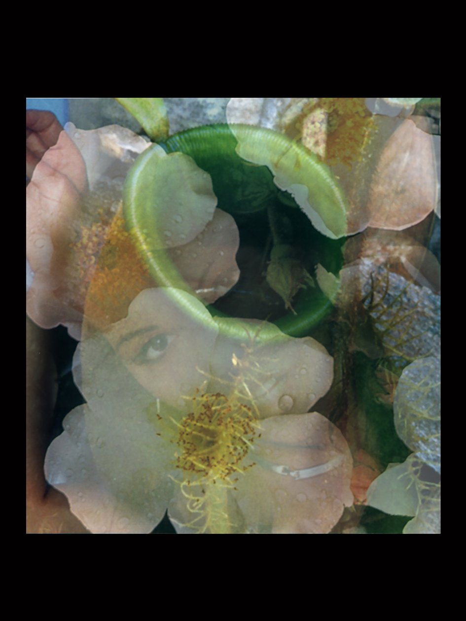  by Mat Collishaw
