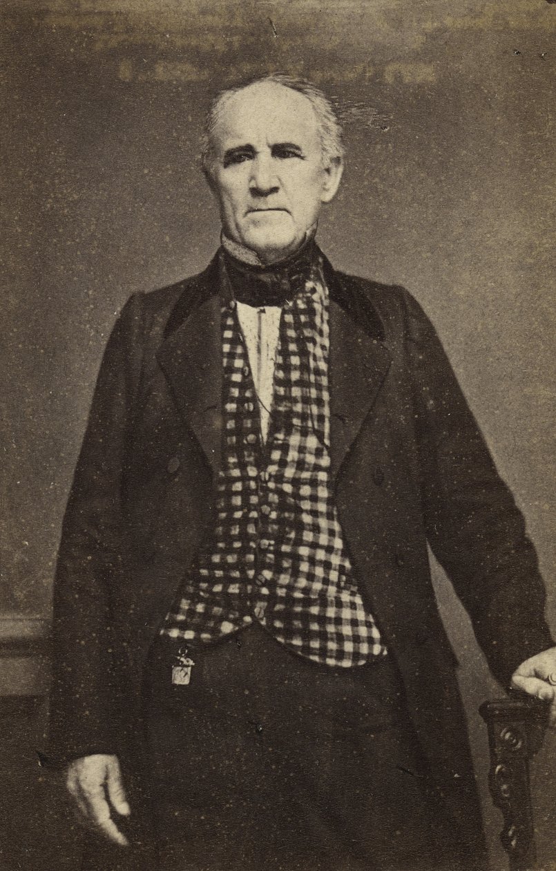 Sam Houston, c.1860-65 (albüm gümüş baskı) by Mathew B. Brady