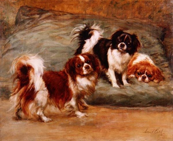 Bir Yastıkta Üç Kral Charles Spaniel by Maud Earl