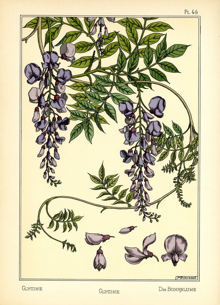 Glisin (renkli taş) by Maurice Pillard Verneuil
