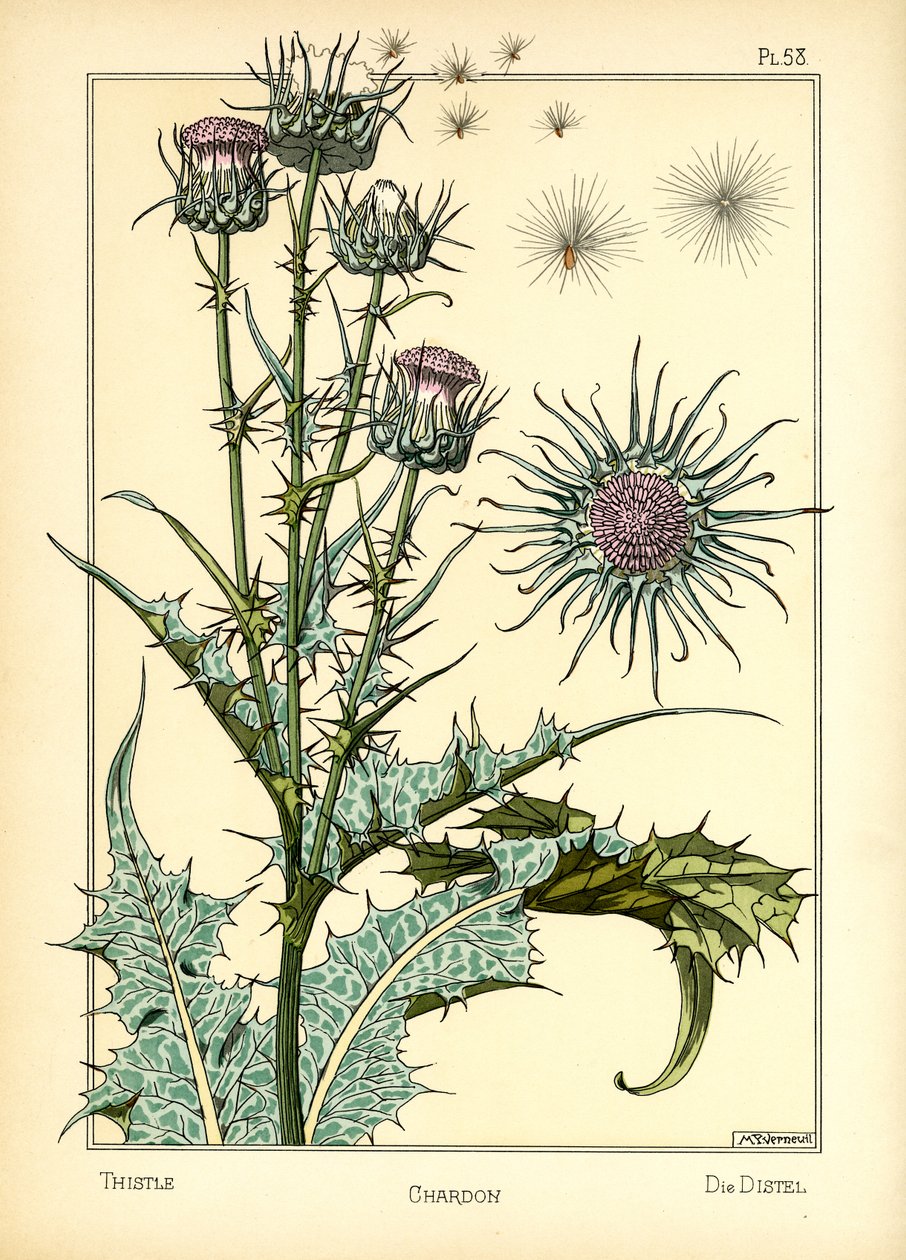 Thistle (renkli taş) by Maurice Pillard Verneuil