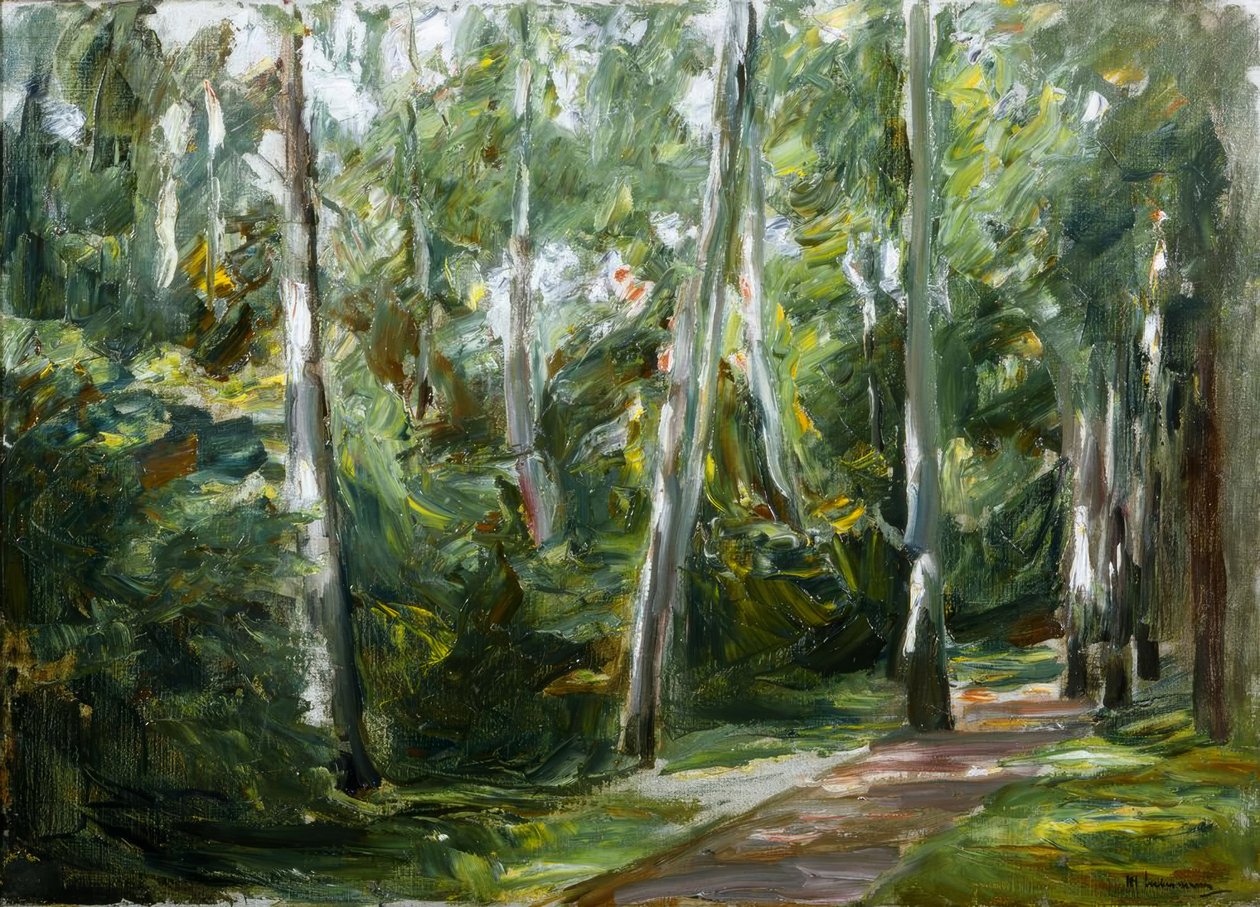 güneybatıda Wannsee bahçesinde huş caddesi by Max Liebermann