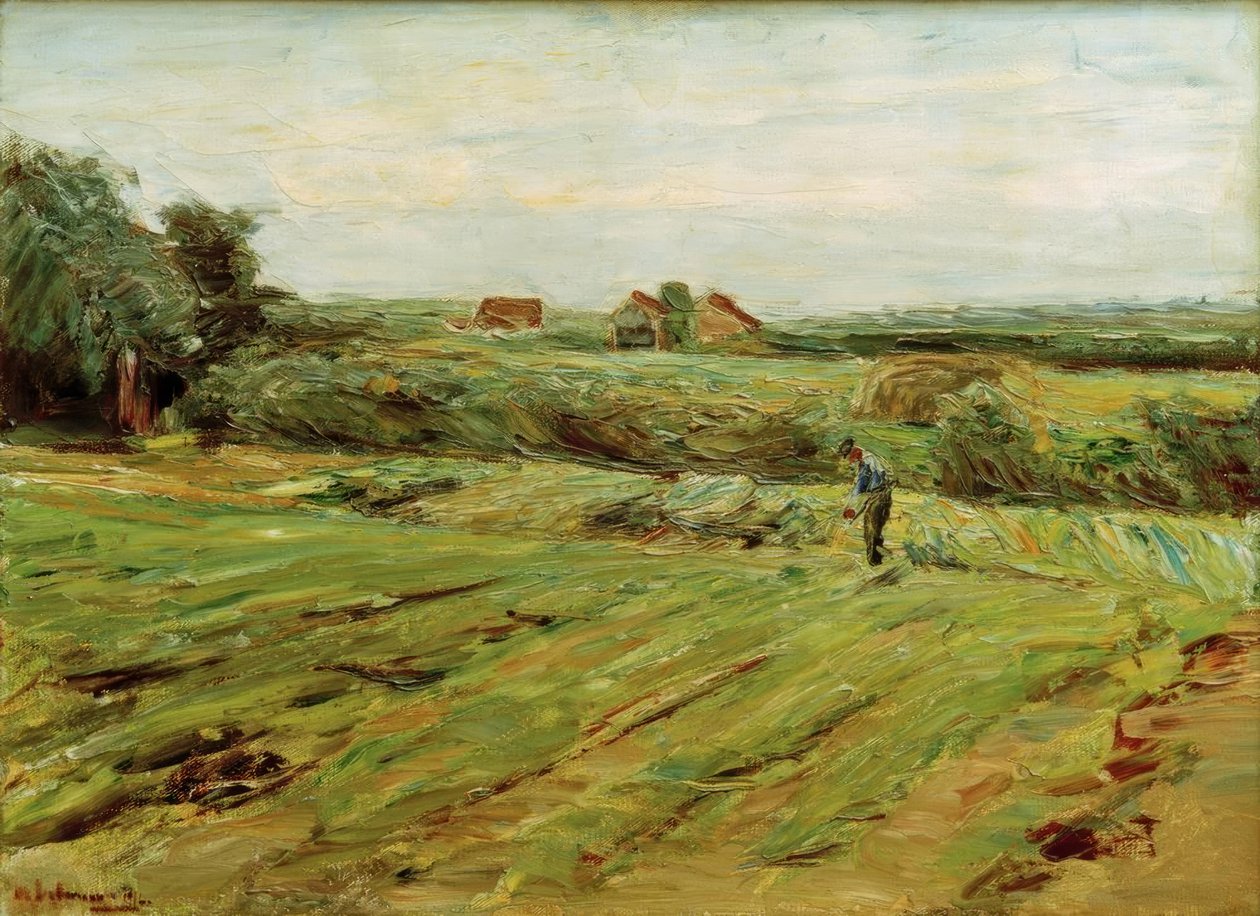 Hasat alanı - lahana alanı (?) by Max Liebermann