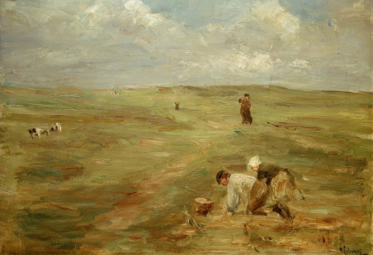 Zandvoort kumullarında patates kazıcıları by Max Liebermann