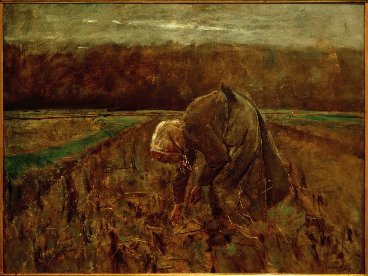 patates toplayıcı by Max Liebermann