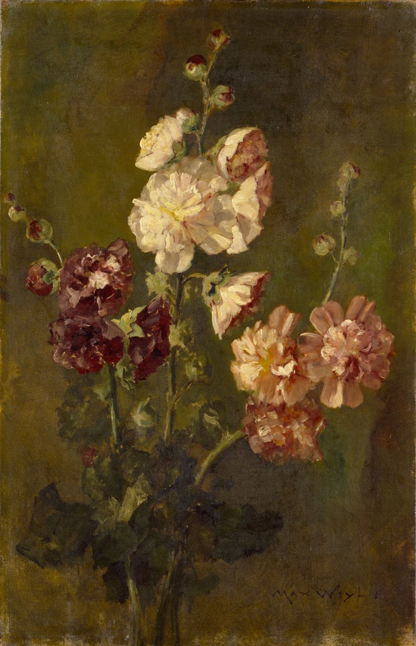  by Max Weyl