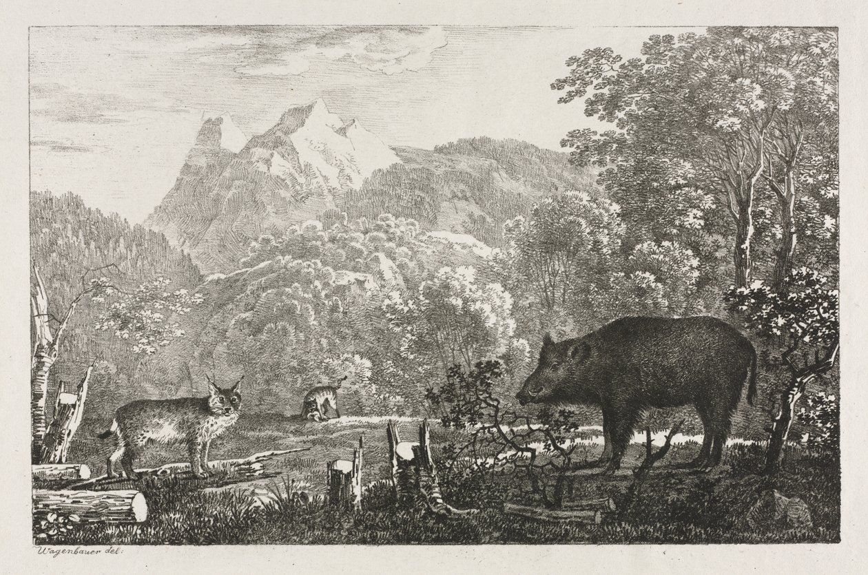 Yaban Domuzu, Yaban Kedisi ve Vaşak by Maximilian Josef Wagenbauer