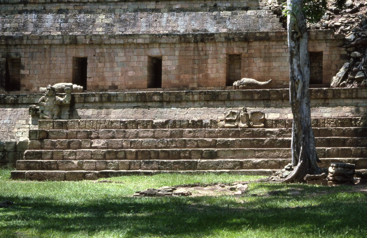 Copan Batı Avlusu, Geç Klasik Dönem MS 600-900 by Mayan