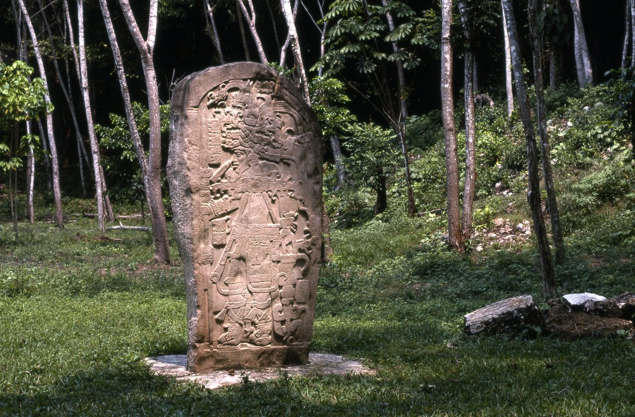 Stela 1, Terminal Classic dönemi (MS 830-930) by Mayan