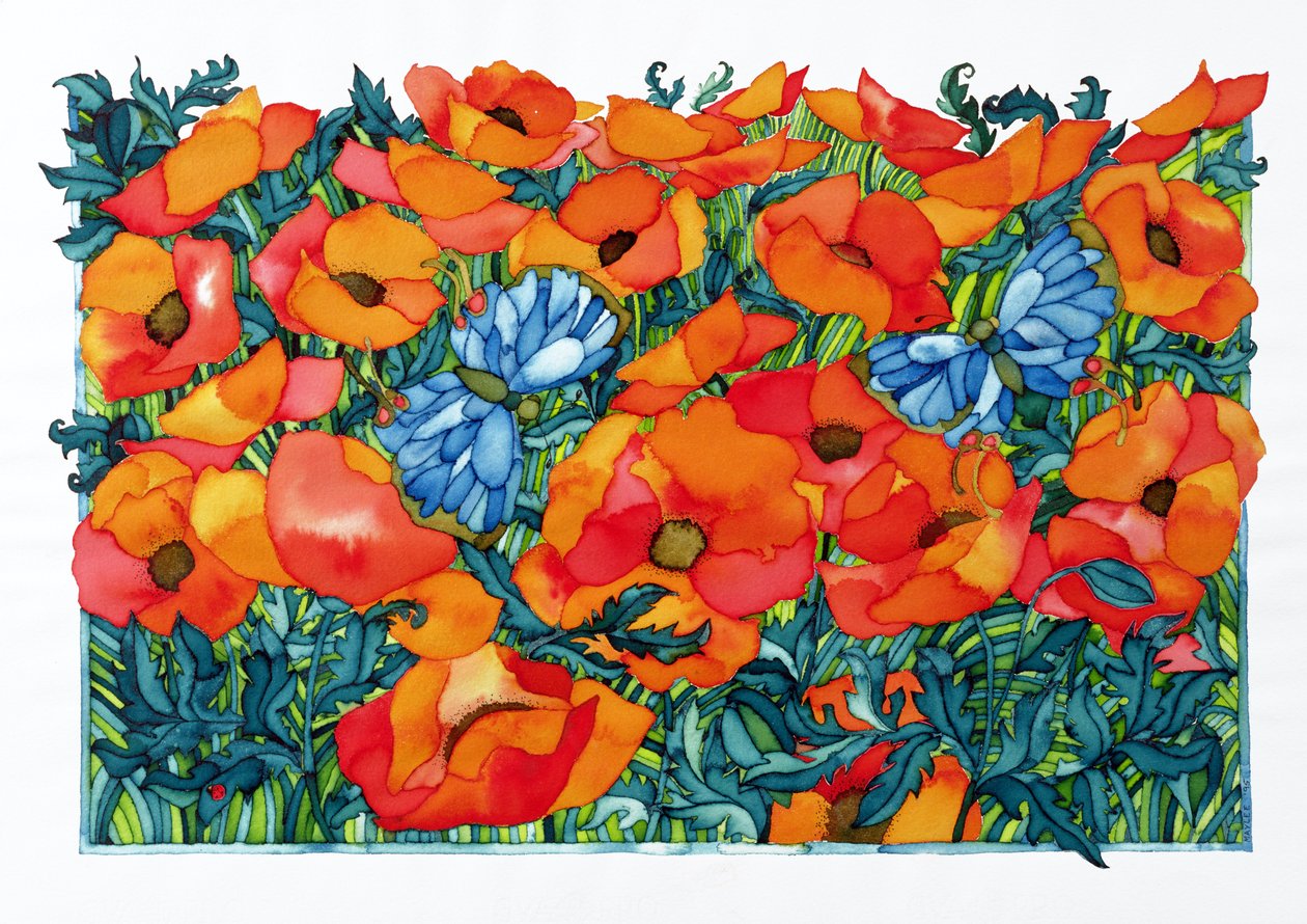 Poppies, 1998 (kağıt üzerinde wc) by Maylee Christie