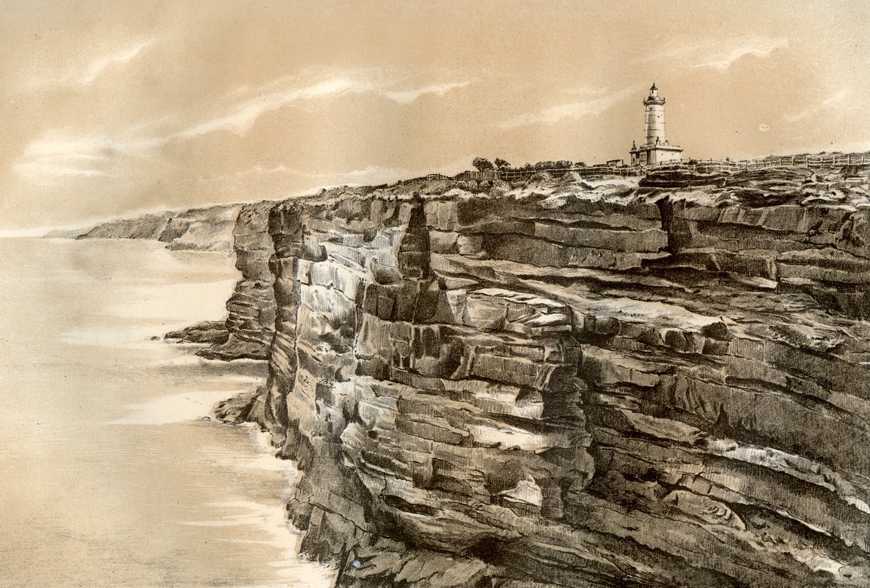 Güney Kafası, Port Jackson, 1879 by McFarlane and Erskine