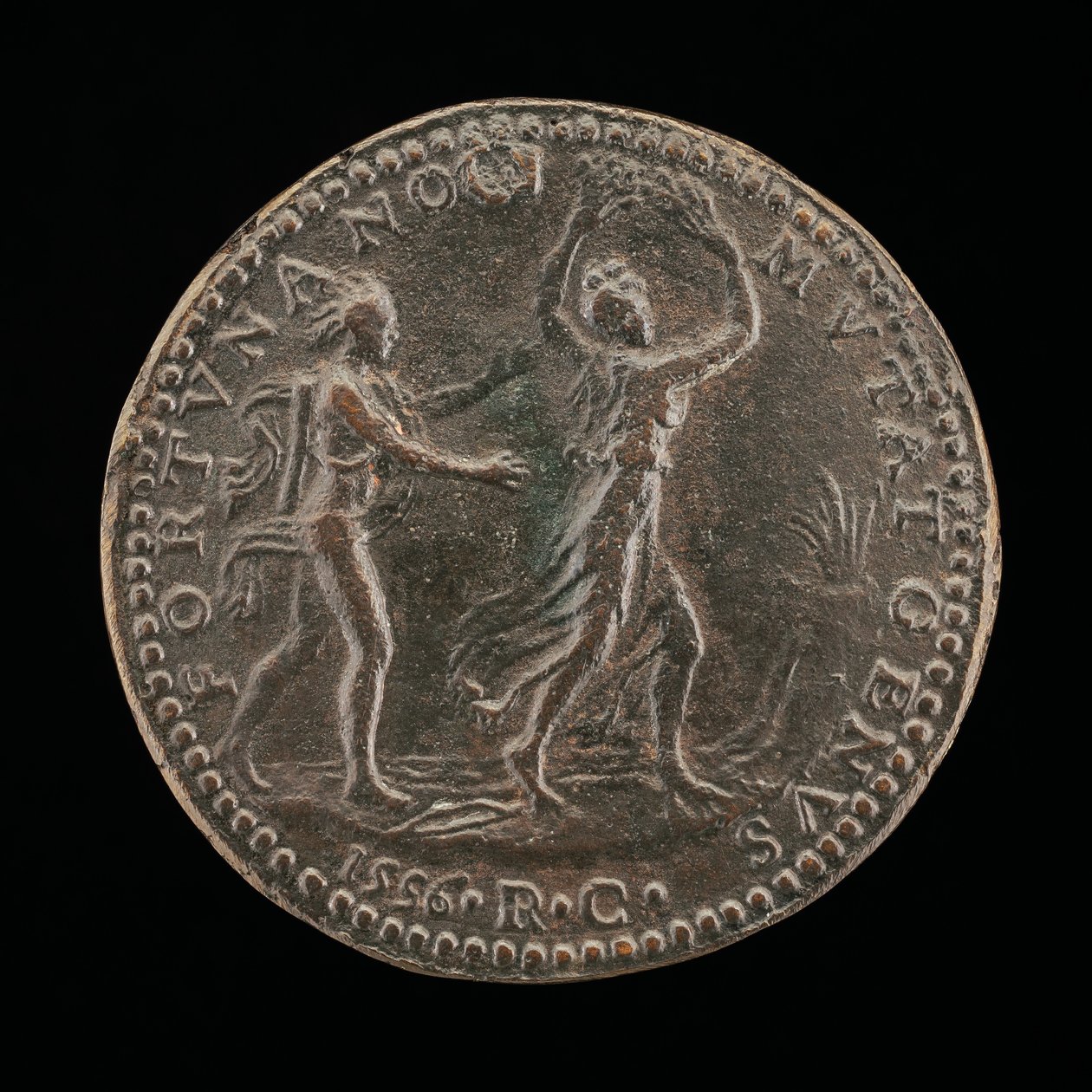 Apollo Daphne