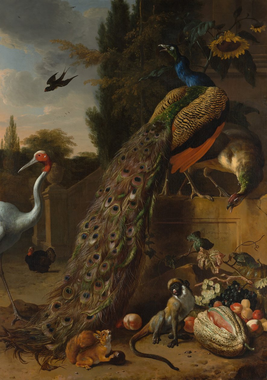 Tavus kuşları, 1683. by Melchior d