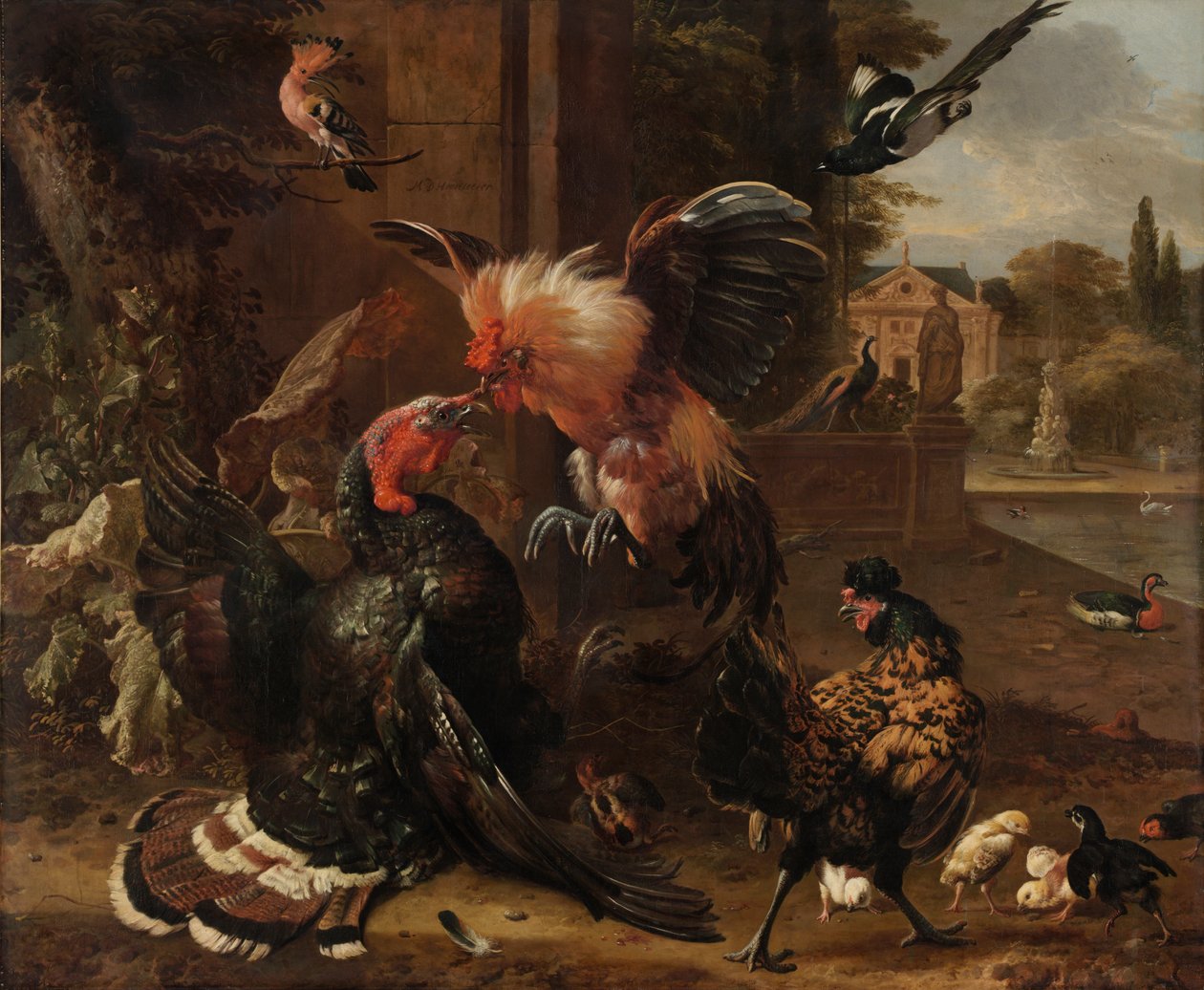 Bir Horoz ve Türkiye Dövüşü by Melchior de Hondecoeter