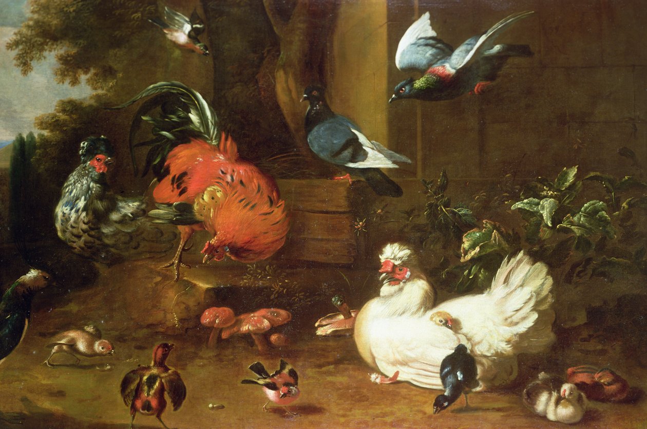 ಪಾರ್ಕ್ಲ್ಯಾಂಡ್ಟರ್ಕ್ನಲ್ಲಿ ಕೋಳಿ by Melchior de Hondecoeter