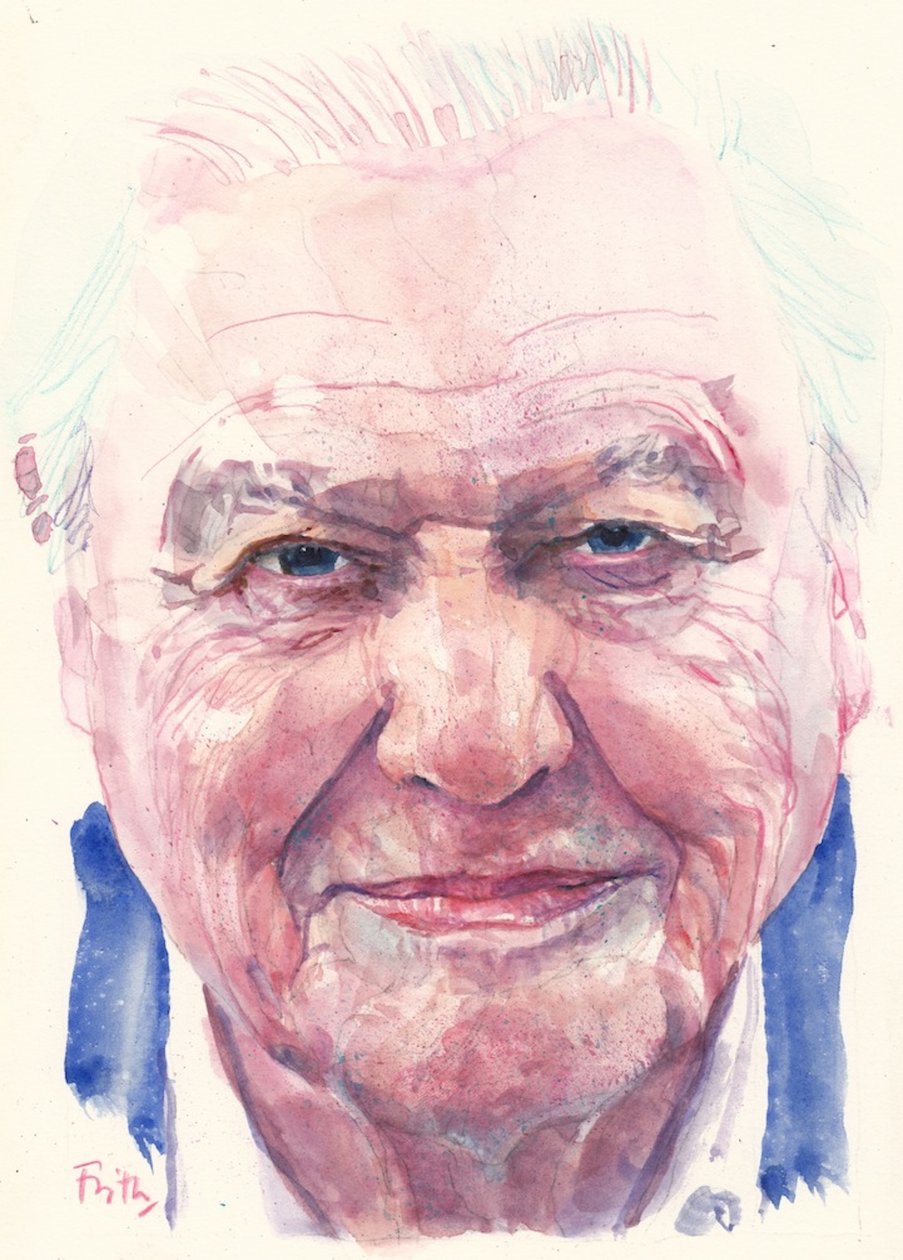 Sir David Attenborough (sulu boya) by Michael Frith
