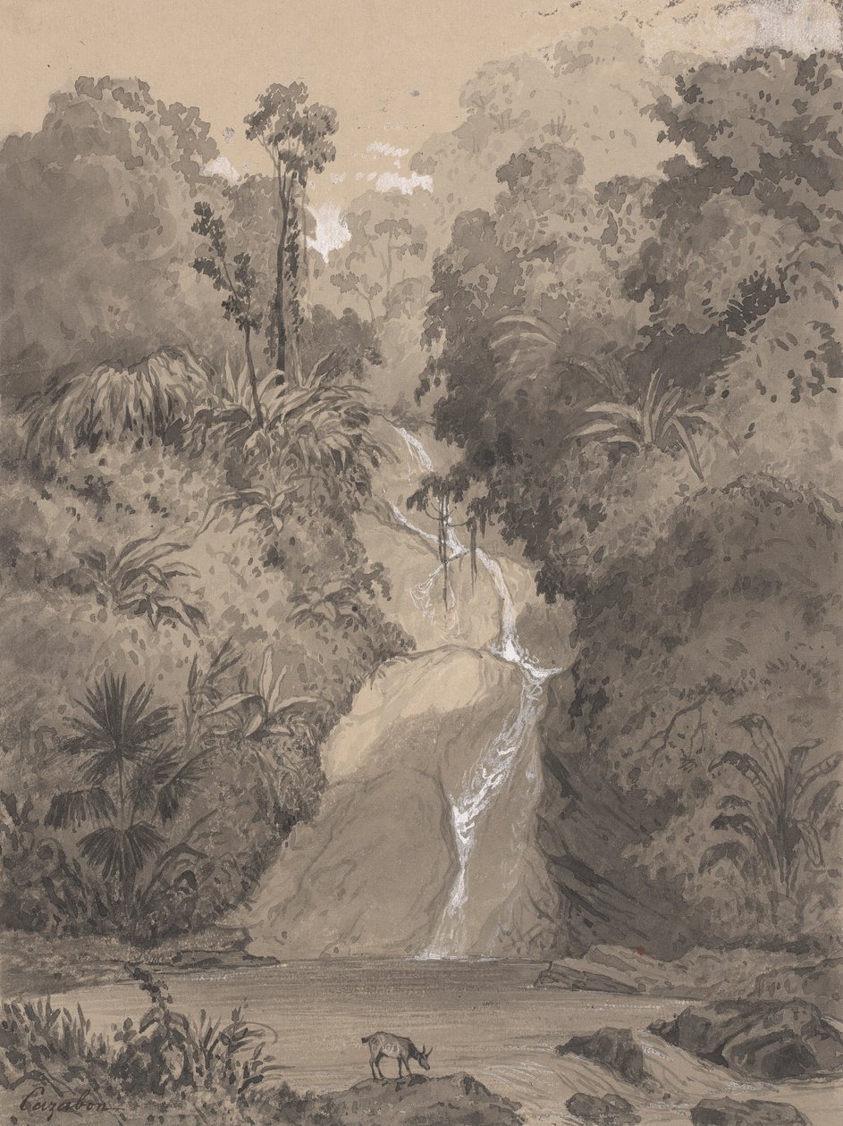 St. Anns'de Cascade by Michel Jean Cazabon